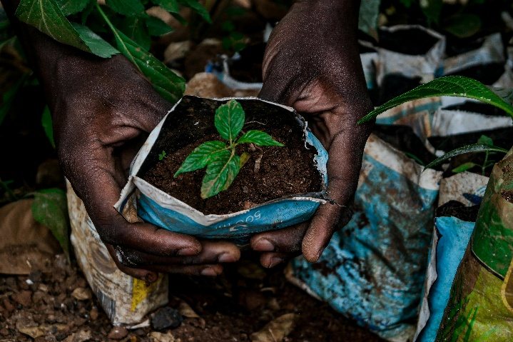 Climate action