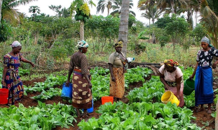Sustainable agriculture